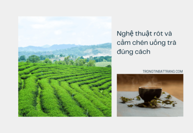 Nghệ thuật rót và cầm chén uống trà đúng cách Nghệ thuật rót và cầm chén uống trà đúng cách