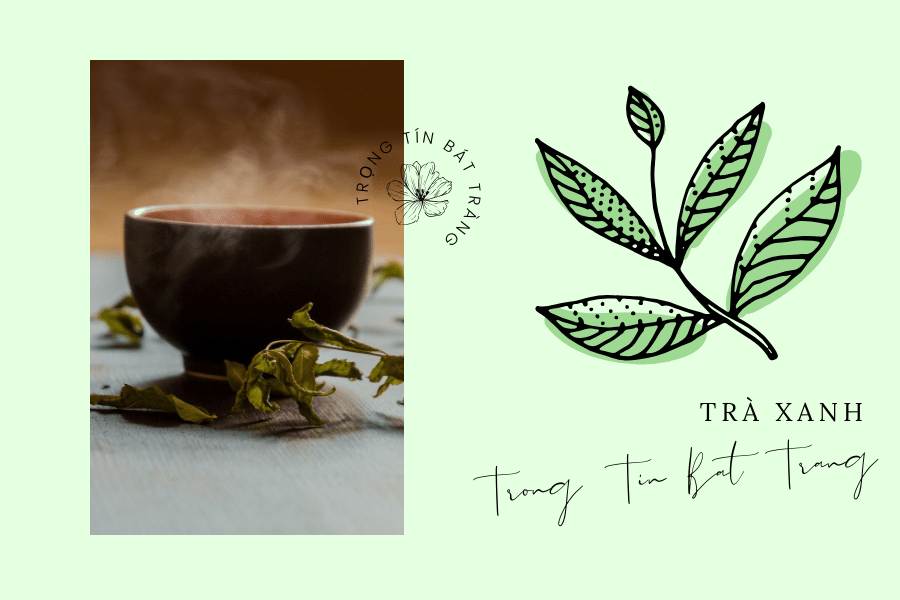 Tìm hiểu về trà xanh Thái Nguyên - đặc sản trà Việt Nam