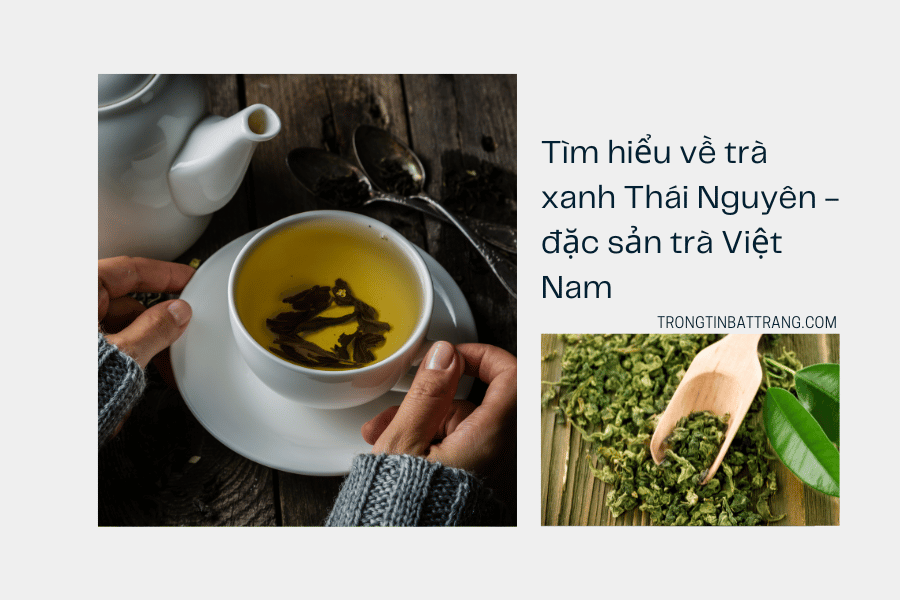 Tìm hiểu về trà xanh Thái Nguyên - đặc sản trà Việt Nam