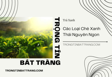 Các loại Chè Thái Nguyên Ngon