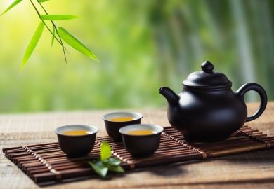 chup-anh-tra-02-1 chup-anh-tra-02-1
