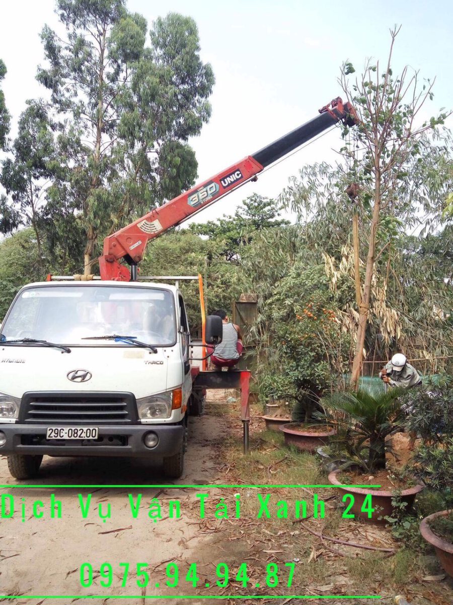 Vận Tải Xanh – Chuyên cho thuê xe tải cẩu cây xanh giá rẻ, uy tín tại Hà Nội