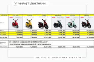 ưu đãi tết mới nhất xe điện vinfast