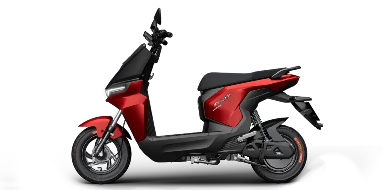 flazz max (1)