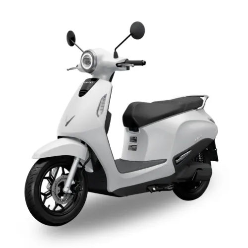 evo lite_11zon