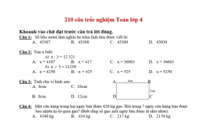 Bộ 210 Câu Hỏi Trắc Nghiệm Môn Toán Lớp 4 (Có Đáp Án)