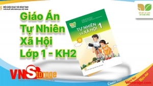 Giáo án Tự Nhiên Xã Hội Lớp 1 - Học kì 2 - Kết nối tri thức