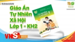 Giáo án Tự Nhiên Xã Hội Lớp 1 - Học kì 2 - Kết nối tri thức