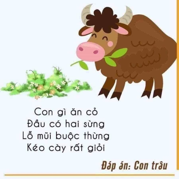 cau do con vat de thuoc bang tho cho be 15 large