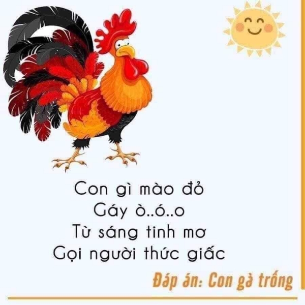 cau do con vat de thuoc bang tho cho be 2 large