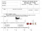 Đề kiểm tra Toán lớp 4 cuối năm 2024 sách chân trời sáng tạo