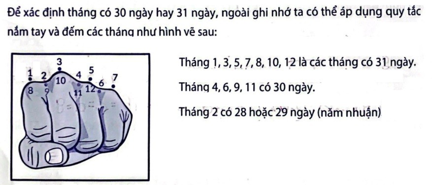 Quy tắc nắm tay tính tháng 30 hay 31 ngày dương lịch