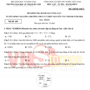 Đề thi Toán vào lớp 6 trường Nguyễn Tất Thành năm học 2024-2025 (Có đáp án)