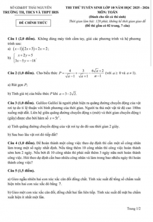 Đề Thi Thử Tuyển Sinh Lớp 10 Trường Iris Thái Nguyên 2025 (Có đáp án)