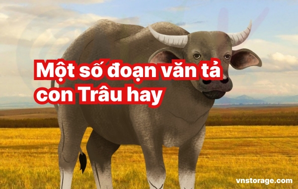 Một số đoạn văn tả con Trâu hay