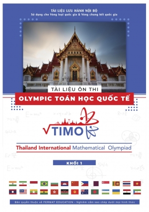 Tài liệu hướng dẫn ôn thi Toán Timo Lớp 1 (Có đáp án)