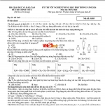Đề thi và Đáp án Môn Hoá Học Tốt Nghiệp THPT 2026-2027
