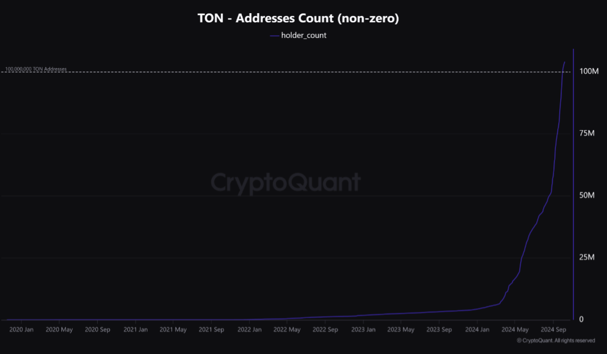 Nguồn- CryptoQuant - TON