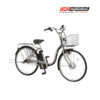 Xe đạp điện trợ lực View ASL263KDZ