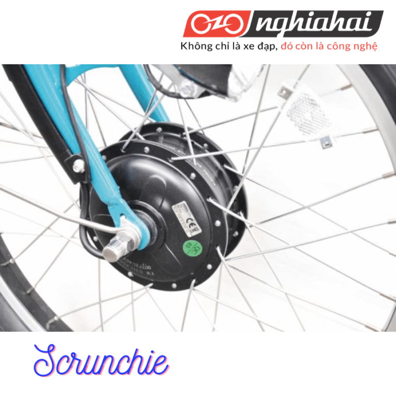 Xe đạp trợ lực chuyên chở trẻ em Scrunchie