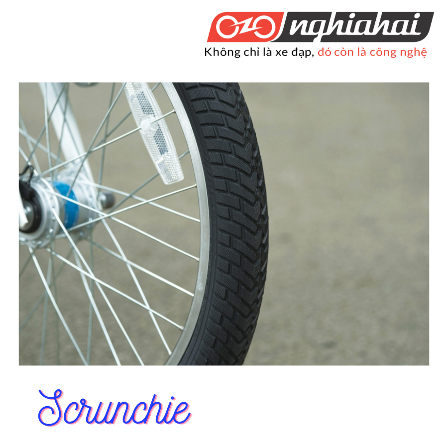 Xe đạp trợ lực chuyên chở trẻ em Srunchie