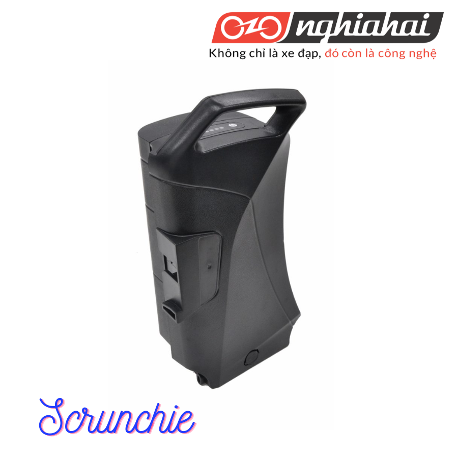 Xe đạp trợ lực chuyên chở trẻ em Srunchie