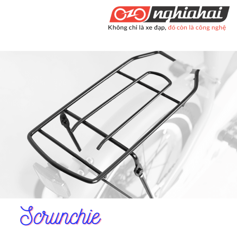 Xe đạp trợ lực chuyên chở trẻ em Scrunchie