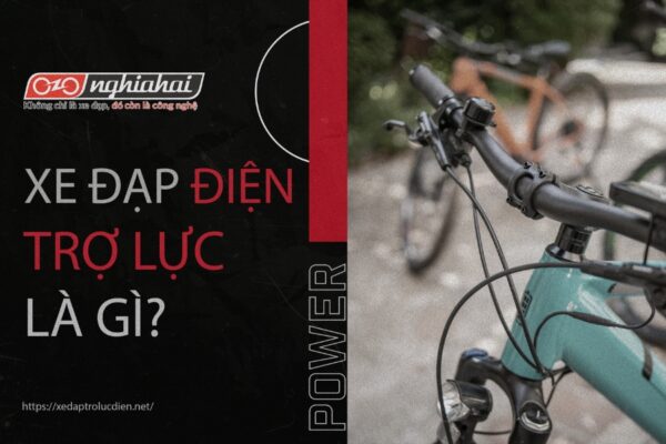 Xe đạp điện trợ lực là gì_ Các loại xe đạp điện trợ lực phổ biến