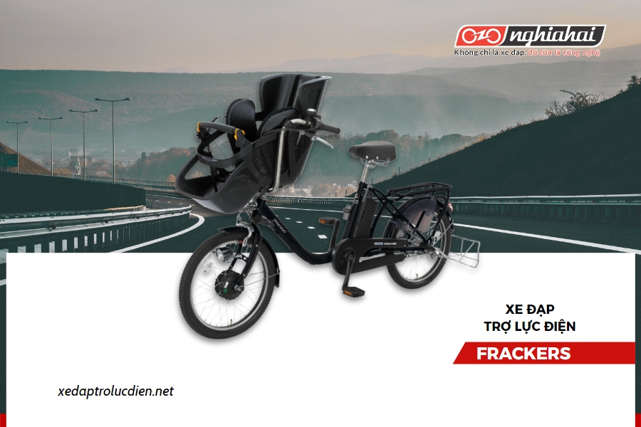 Các lưu ý quan trọng khi mua xe đạp điện trợ lực
