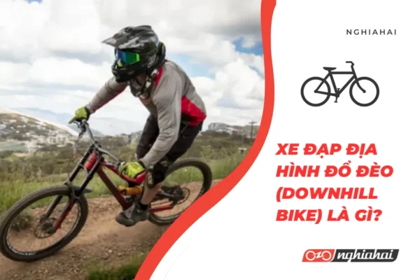 Xe đạp địa hình đổ đèo (Downhill Bike) là gì