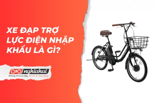 Xe đạp trợ lực điện nhập khẩu là gì