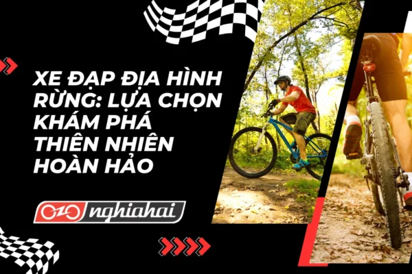 Xe đạp địa hình rừng Lựa chọn khám phá thiên nhiên hoàn hảo