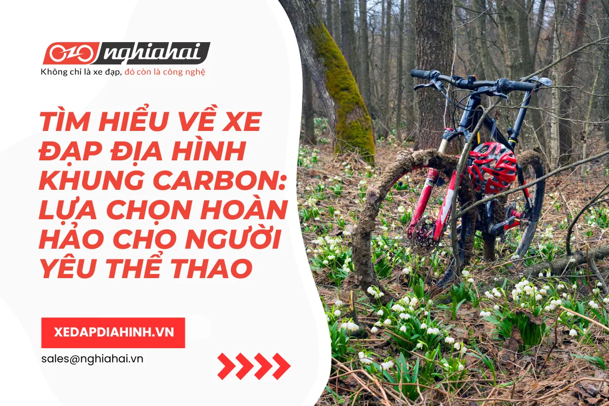 Tìm hiểu về xe đạp địa hình khung carbon Lựa chọn hoàn hảo cho người yêu thể thao