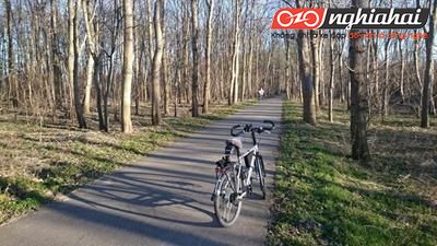Đường dành cho xe đạp tại Hà Lan 1