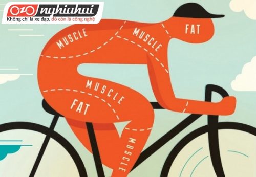 Cách giảm cân để nâng cao thành tích đạp xe (phần 1) 3