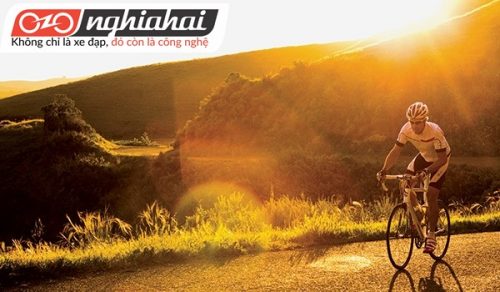 Xe Đạp Địa Hình Nishiki Matrix 20 inches Phanh xe đảm bảo an toàn cho trẻ