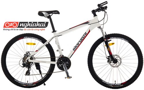 Ai cũng muốn có một chiếc xe đạp đua như Maruishi 2