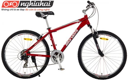 Ai cũng muốn có một chiếc xe đạp đua như Maruishi 1