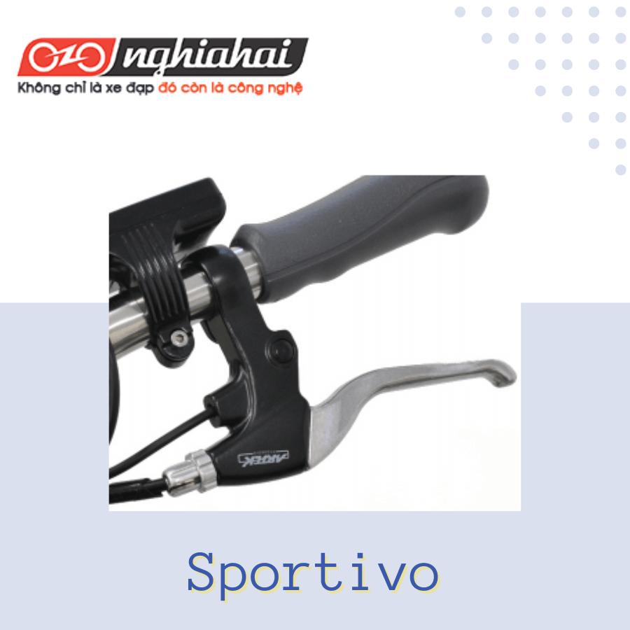 Xe đạp điện trợ lực Sportivo - màu xám