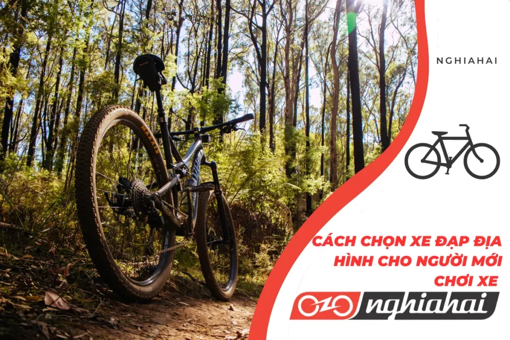 Cách chọn xe đạp địa hình cho người mới chơi xe