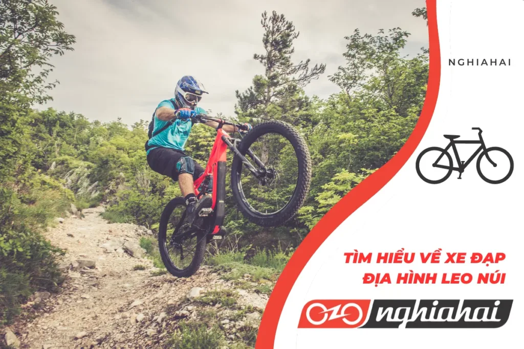 Tìm hiểu về xe đạp địa hình leo núi Enduro Bike và All Mountain Bike