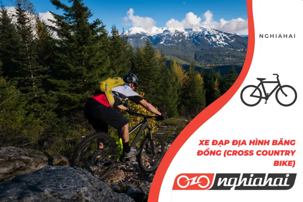 Xe đạp địa hình băng đồng (Cross Country Bike)
