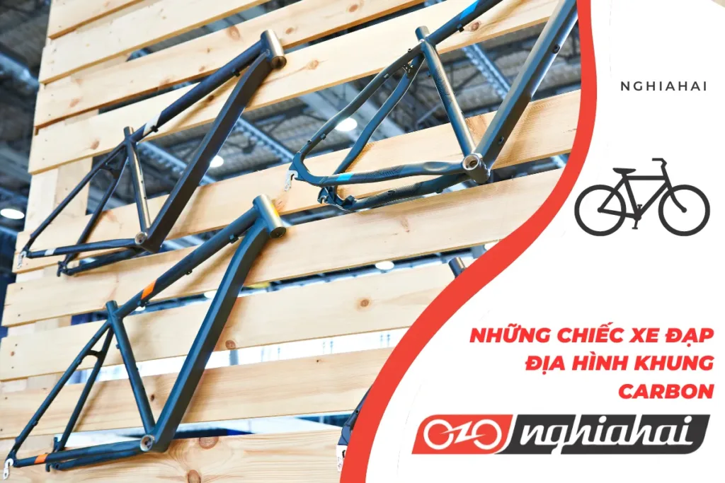 Những chiếc xe đạp địa hình khung carbon