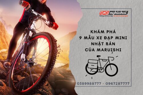 TOP 10 Giải Đua Xe Đạp Lớn Nhất Thế Giới: Lịch Sử, Điểm Độc Đáo và Những Nhà Vô Địch Huyền Thoại