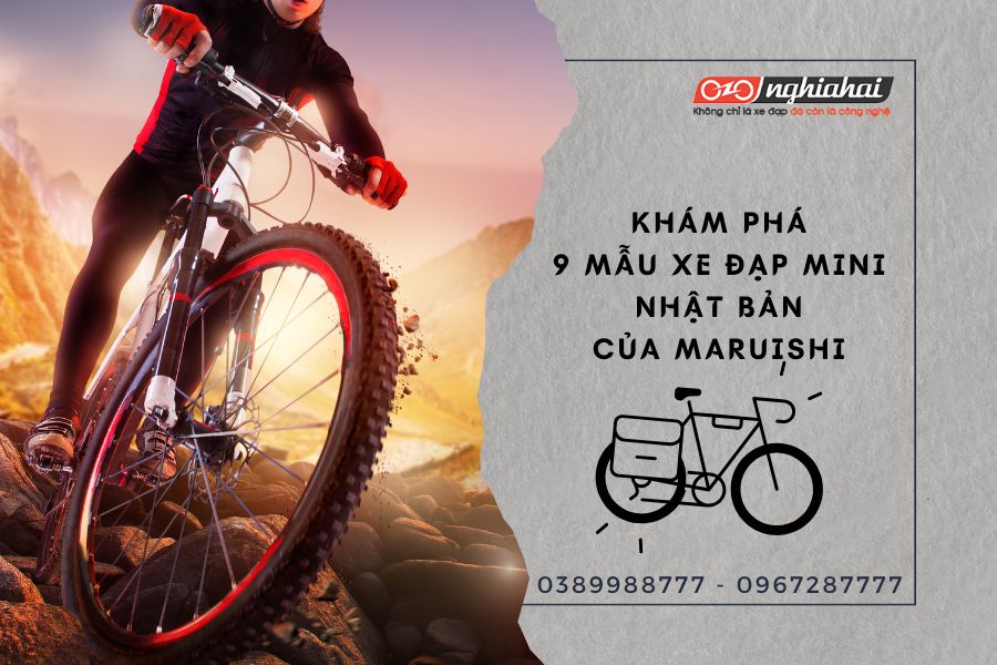 TOP 10 Giải Đua Xe Đạp Lớn Nhất Thế Giới: Lịch Sử, Điểm Độc Đáo và Những Nhà Vô Địch Huyền Thoại