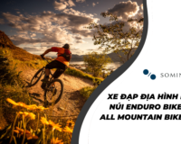 Xe đạp địa hình leo núi Enduro Bike và All Mountain Bike là gì?