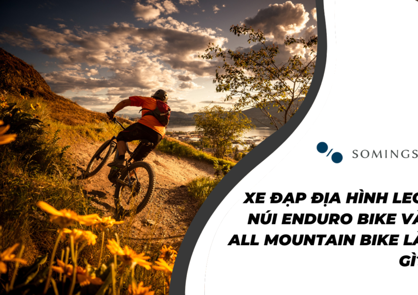 Xe đạp địa hình leo núi Enduro Bike và All Mountain Bike là gì?