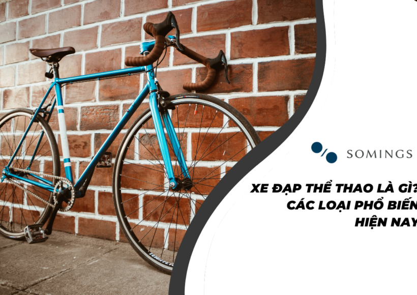 Xe Đạp Thể Thao Là Gì? Các Loại Phổ Biến Hiện Nay