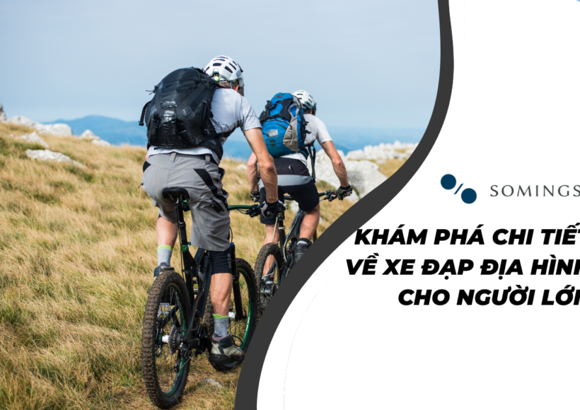 Khám phá chi tiết về xe đạp địa hình cho người lớn