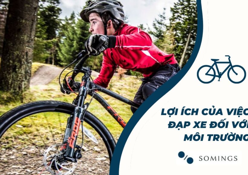 Lợi ích của việc đạp xe đối với môi trường
